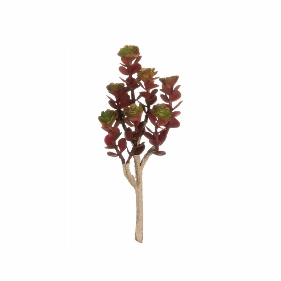 Living * | Sullivans Red Succulent Pick With Beige Stem Summer