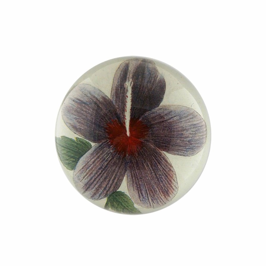 Living * | John Derian Violet Hibiscus Dome Paperweight