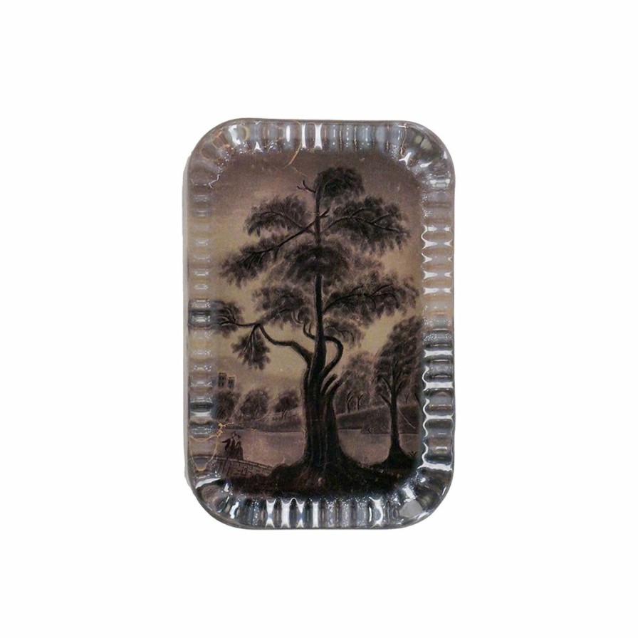 Living * | John Derian Home Decor Sandpaper Tree Dotted Edge Rectangular Paperweight