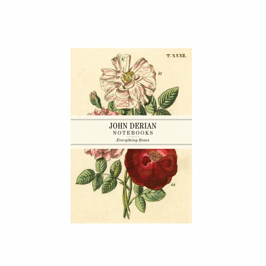 Study * | Artisan John Derian Everything Roses Notebooks Study