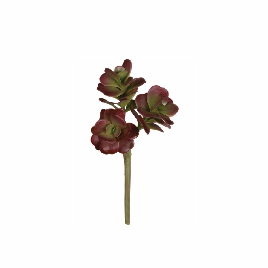 Living * | Sullivans Summer Red Succulent Pick With Green Stem