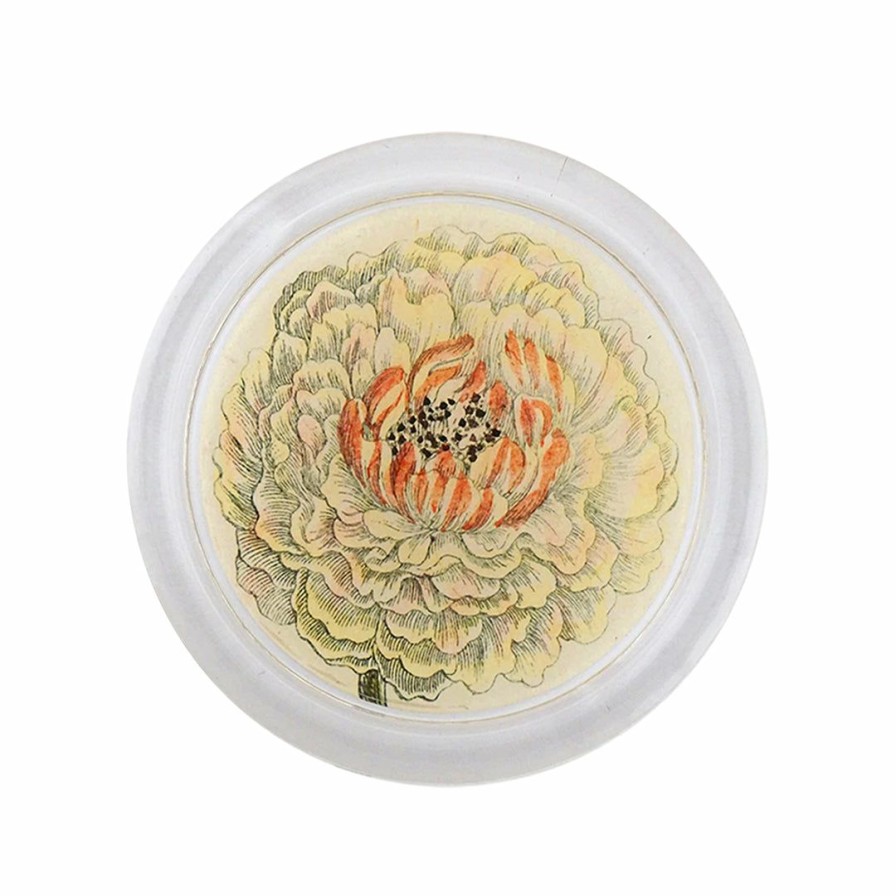 Living * | John Derian Home Decor Ranunculus 851-D Coaster