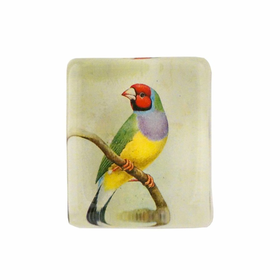 Living * | John Derian Red-Headed Gouldian Finch Rectangle Charm