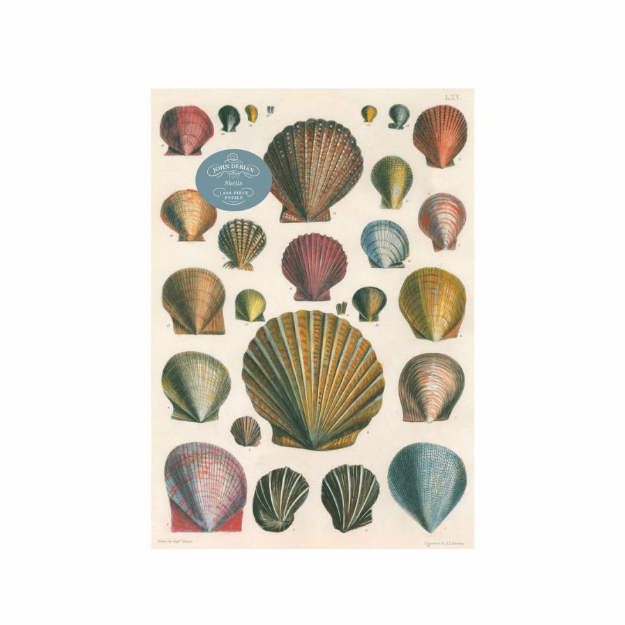 Nursery * | Artisan Nursery John Derian Shells Puzzle