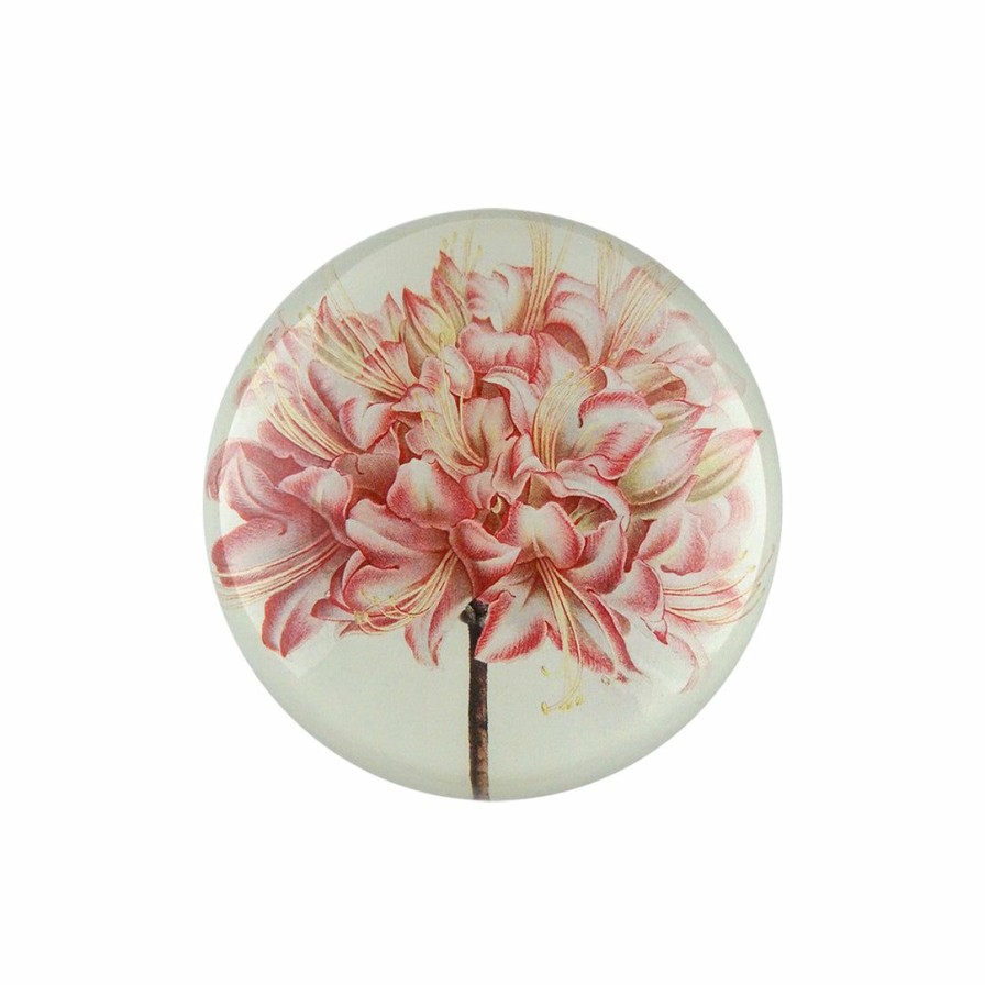 Living * | John Derian Azalea Taye Dome Paperweight Home Decor