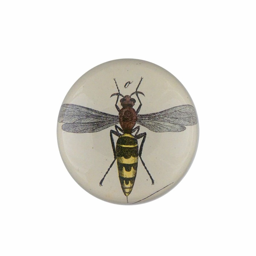 Living * | John Derian Bee O. Dome Paperweight