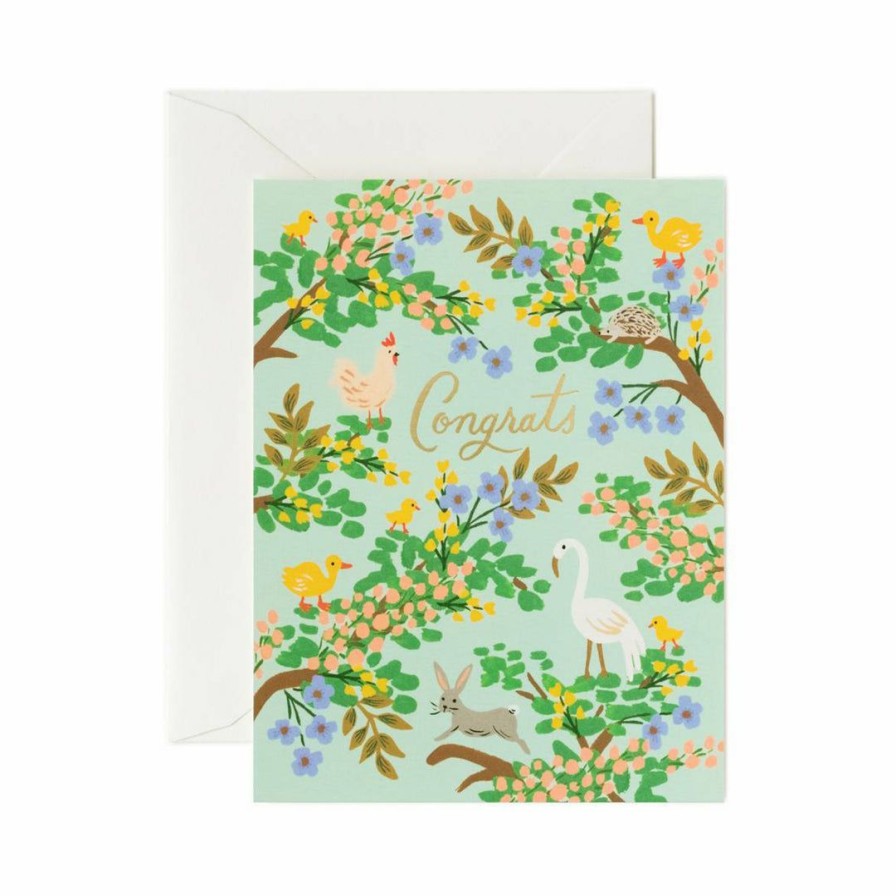 Study * | Rifle Paper Co Greeting Cards Congrats Forest Card