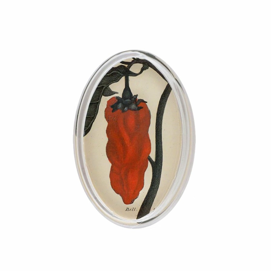 Living * | John Derian Bell Pepper Oval Paperweight