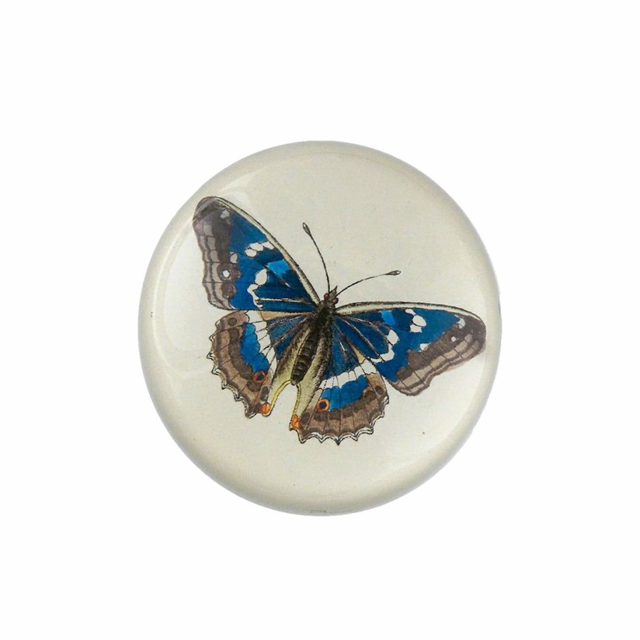 Living * | John Derian Papilio N. Iris Dome Paperweight Summer