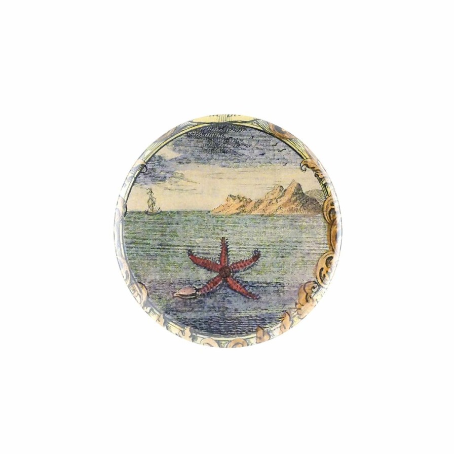 Accessories * | John Derian Starfish By Day Mirror Button