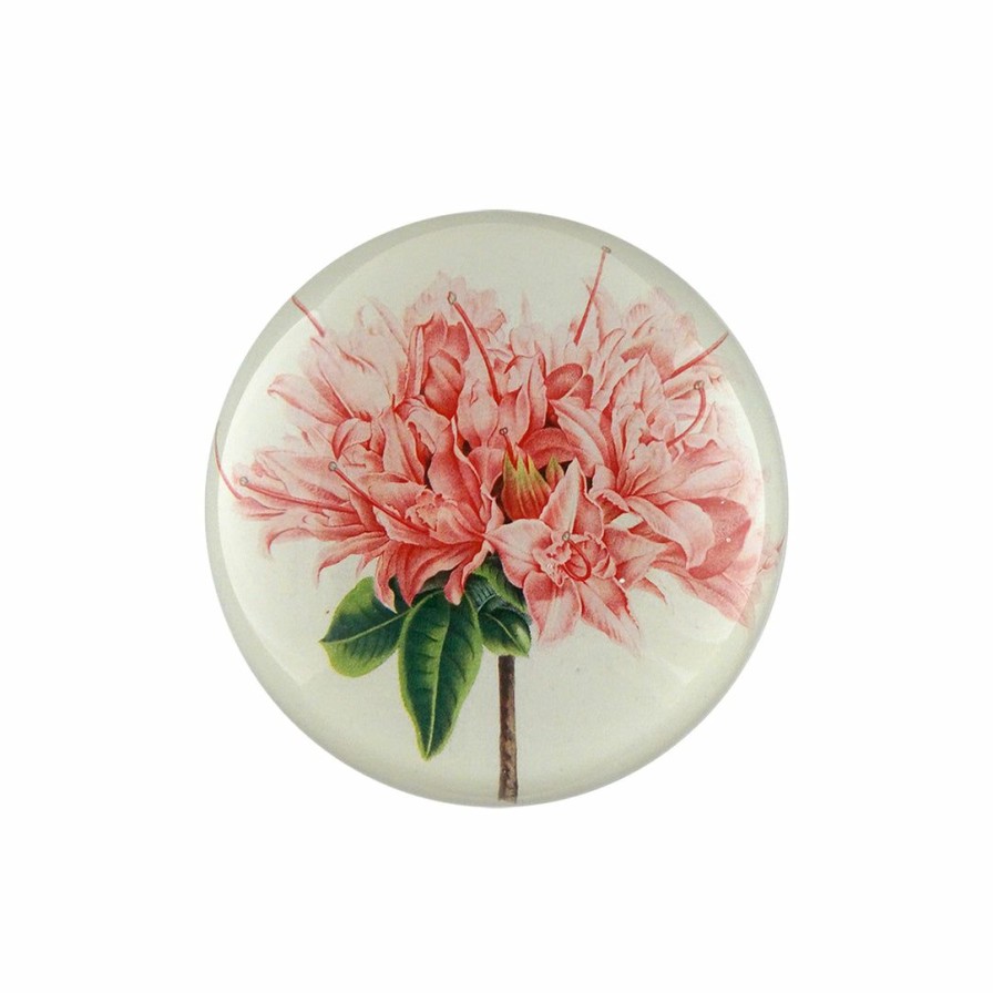 Living * | John Derian Home Decor Azalea Hardy Dome Paperweight