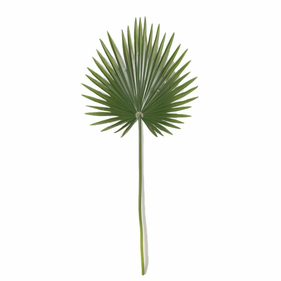 Living * | Sullivans Palmetto Leaf