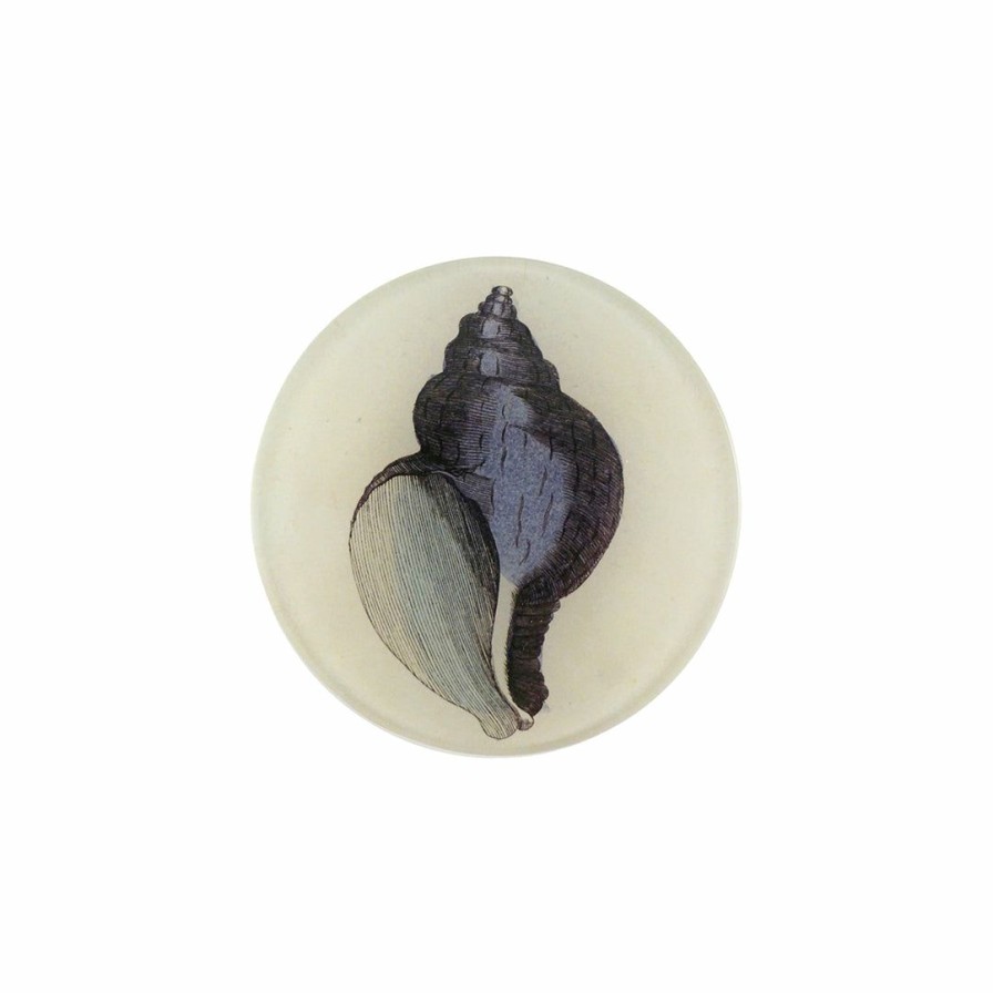 Living * | John Derian Purple Shell Plate Summer